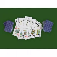Poker set 300ks žetonů 1-1000 design Ultimate - karty