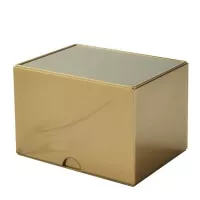 Zlatá krabička na karty Dragon Shield - Strongbox