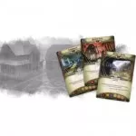 Arkham Horror: The Card Game - Blood on the Altar - karty 2
