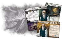 Arkham Horror Novels: Ire of the Void - karty