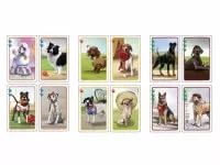 Psí život - karetní hra - karty