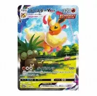 Ukázka japonské verze karty - Karty Pokémon - Eevee Evolutions VMAX Premium Collection - Flareon