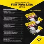 Fotbalové karty Fortuna Liga 2021-22 Exclusive box 2. série - zastoupení karet