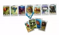 Cardline - Svet zvierat (SK) - ukázka karet