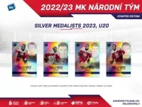 Stříbrné medaile U20 česká reprezentace