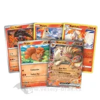 Karty z balíčku Pokémon Ninetales ex Battle Deck