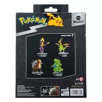 Zadní strana balení figurky Entei