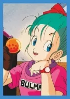 DragonBall Universal Collection - Display samolepek - zena