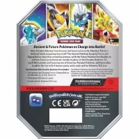 Plechovka Pokémon Paradox Destinies - Gouging Fire ex - zadní strana plechovky