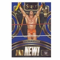 2024 Panini Select WWE Wrestling Hobby Box karta 3