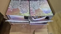 Pokémon Prismatic Evolutions Eevee Super Premium Collection - poškozeno 1