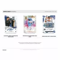 2025 Panini Impeccable Basketball Hobby Box - NBA karty