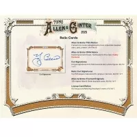 2025 Topps Allen&amp;Ginter