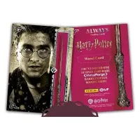 Harry Potter Panini Always Premium Treasure Box